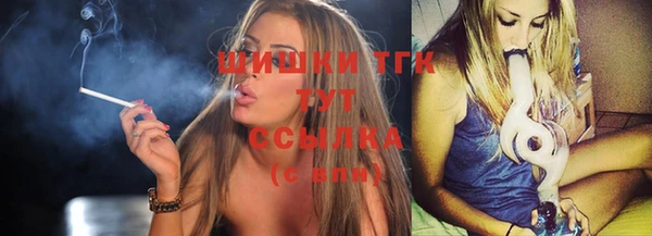 гашик Аркадак