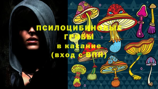 гашик Аркадак